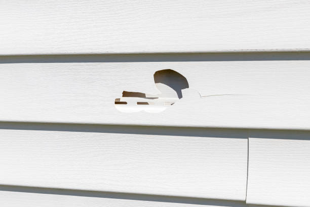 Best Vinyl Siding Installation  in Arden Hills, MN